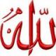 الصورة الرمزية نور الهدى
