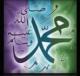 الصورة الرمزية midooo444
