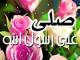 الصورة الرمزية لا تحزن وسبح ربك