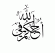 الصورة الرمزية الليث