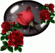 الصورة الرمزية أم تميم
